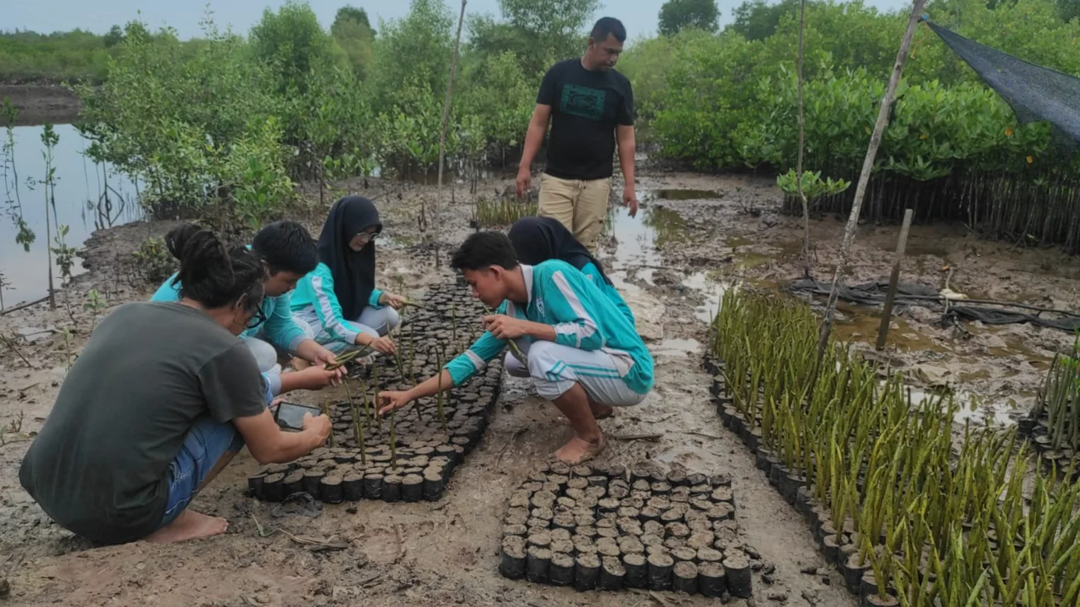 Konservasi Mangrove Menjadi Implementasi Awal Kerja Sama Pendidikan Lingkungan SMKN 1 Langsa dan AWF (Aceh Wetland Forum)